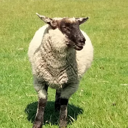 Urlaub Nord-ost Treia