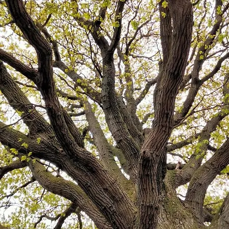 بيت للعطل Urlaub Nord-ost Treia